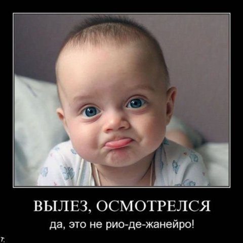 http://cs9794.vkontakte.ru/u134712/98543754/x_7b020def.jpg